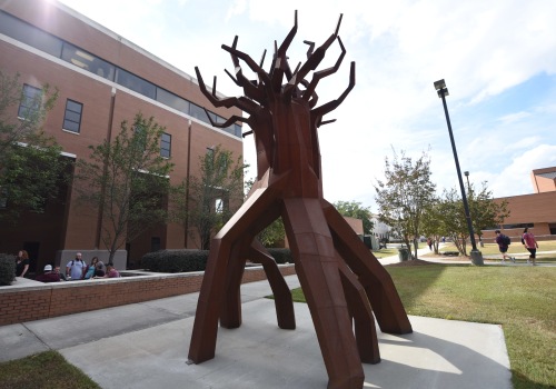 The Impact of Public Arts on the Aesthetic of Hattiesburg, MS: An Expert's Perspective